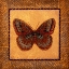 Picture of CRACKLED BUTTERFLY - FRITILLARY
