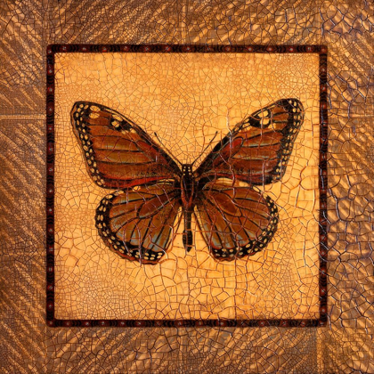 Picture of CRACKLED BUTTERFLY - MONARCH