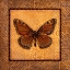Picture of CRACKLED BUTTERFLY - MONARCH
