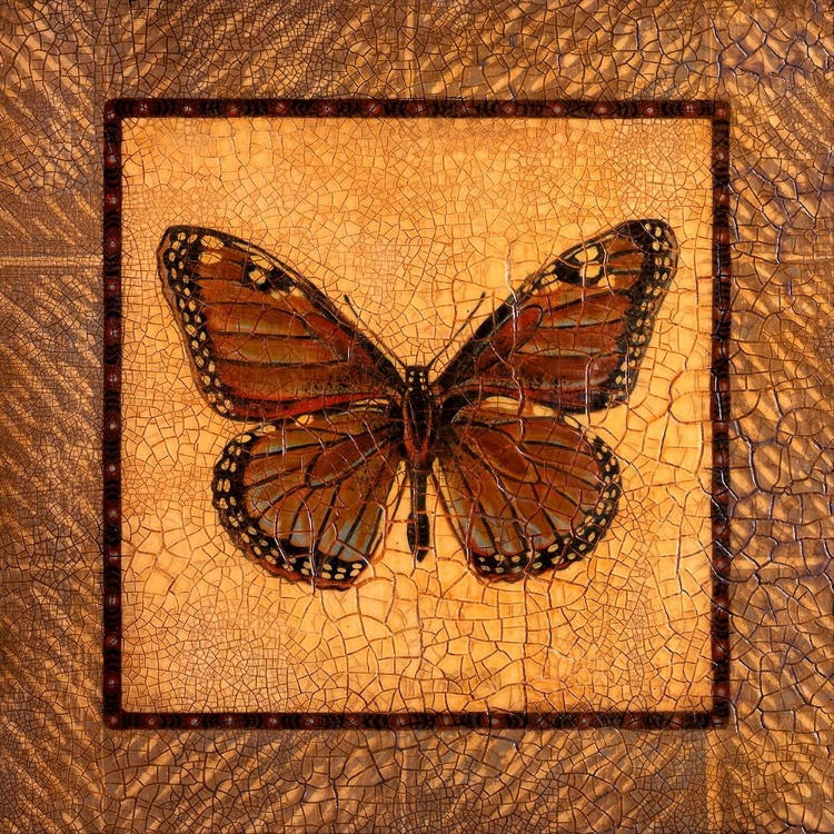 Picture of CRACKLED BUTTERFLY - MONARCH