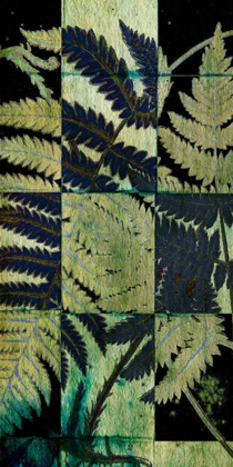 Picture of MIDNIGHT FERNS I