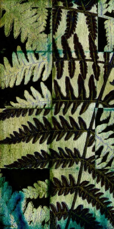 Picture of MIDNIGHT FERNS II