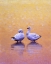 Picture of DAWN MEDITATION
