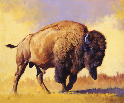 Picture of TATANKA