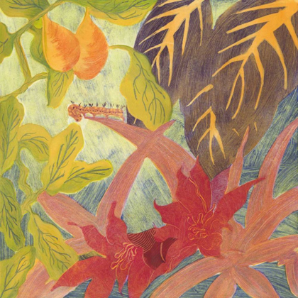 Picture of TROPICAL MONOTYPE IV