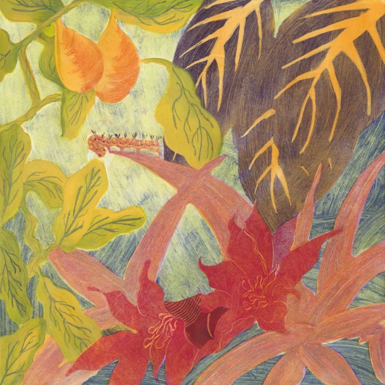 Picture of TROPICAL MONOTYPE IV