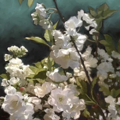 Picture of WHITE ROSES III