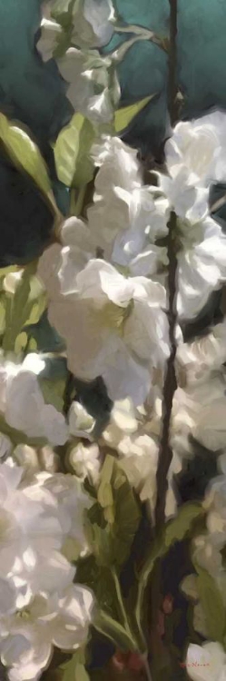 Picture of WHITE ROSES V