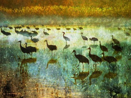 Picture of CRANES IN MIST I