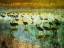 Picture of CRANES IN MIST I