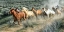 Picture of STAMPEDE I