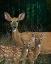 Picture of ON ALERT