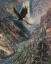 Picture of AMERICA THE BEST
