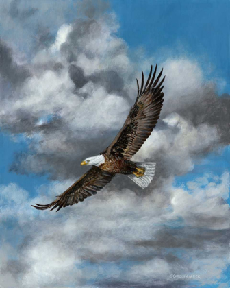 Picture of SOARING