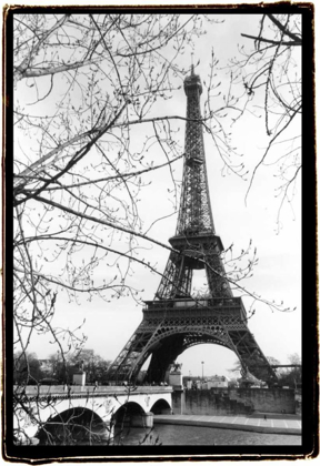 Picture of EIFFEL TOWER ALONG THE SEINE RIVER