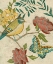 Picture of ANTIQUE AVIARY I