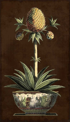 Picture of POTTED PINEAPPLE I