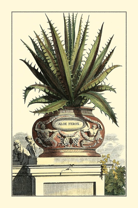 Picture of ANTIQUE MUNTING ALOE I