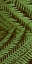 Picture of PATTERNED NATURE II