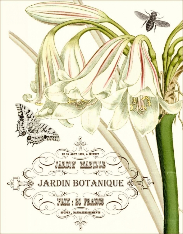 Picture of JARDIN BOTANIQUE I