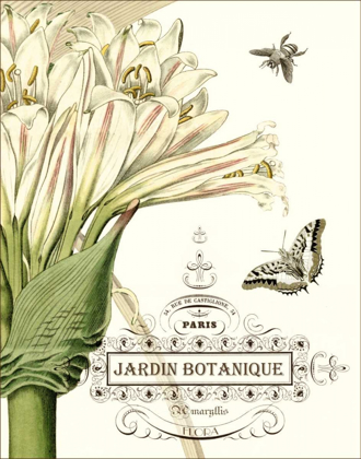 Picture of JARDIN BOTANIQUE II