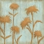 Picture of GOLDEN WILDFLOWERS II