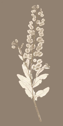 Picture of TAUPE NATURE STUDY III