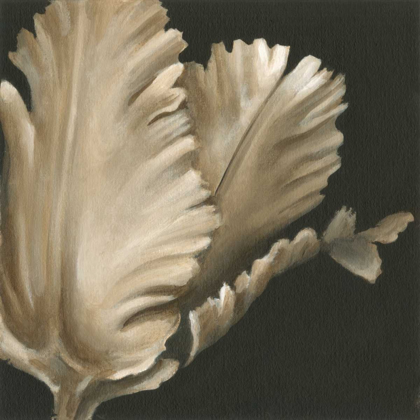 Picture of CLASSICAL BLOOMS I