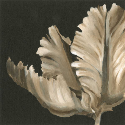Picture of CLASSICAL BLOOMS II