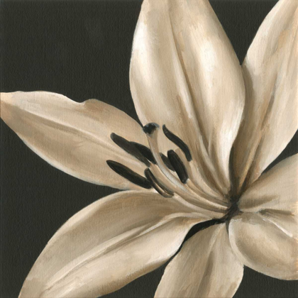 Picture of CLASSICAL BLOOMS III