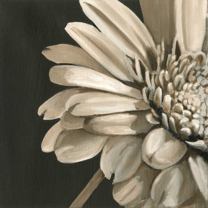 Picture of CLASSICAL BLOOMS IV