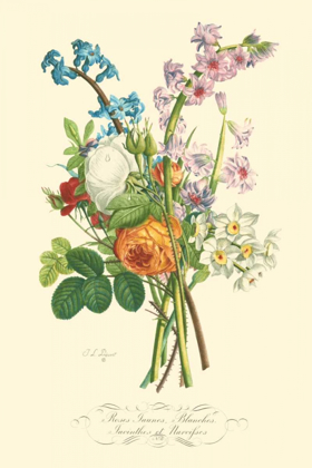 Picture of PLENTIFUL BOUQUET IV