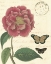 Picture of VINTAGE FLORAL III