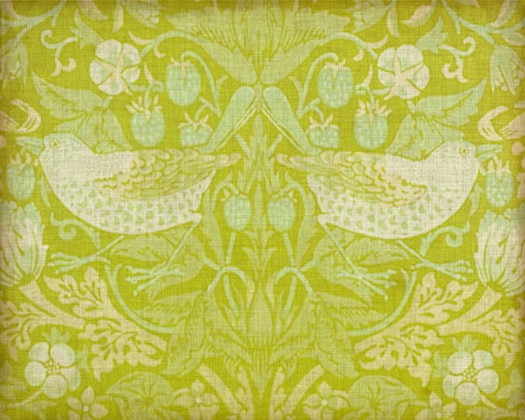 Picture of CITRUS CHINTZ II