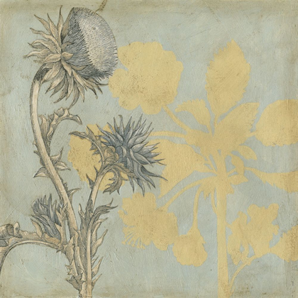 Picture of SHADOW FLORAL I