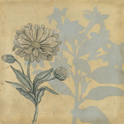 Picture of SHADOW FLORAL III