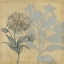 Picture of SHADOW FLORAL III