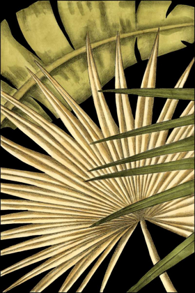 Picture of RUSTIC TROPICAL LEAVES I