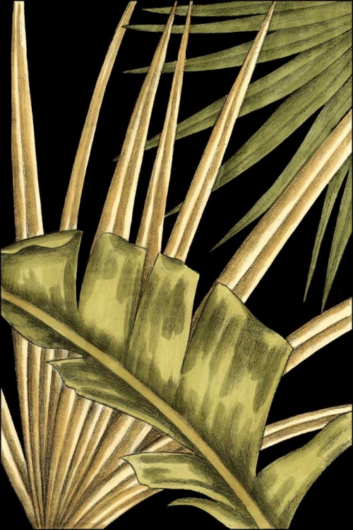 Picture of RUSTIC TROPICAL LEAVES III