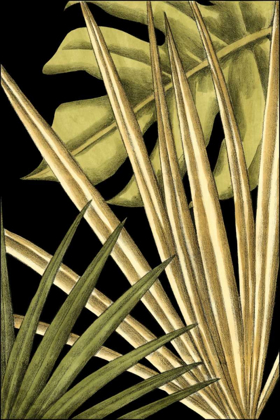 Picture of RUSTIC TROPICAL LEAVES IV