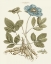 Picture of BASHFUL BLUE FLORALS I