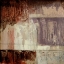 Picture of PLUM EARTH I