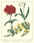 Picture of GARDENERS DELIGHT VIII