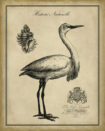 Picture of ANTIQUARIAN EGRET