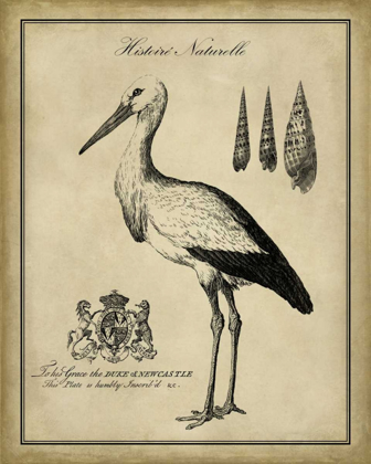 Picture of ANTIQUARIAN STORK