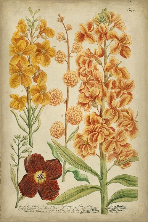 Picture of WEINMANN TROPICAL FLORAL I