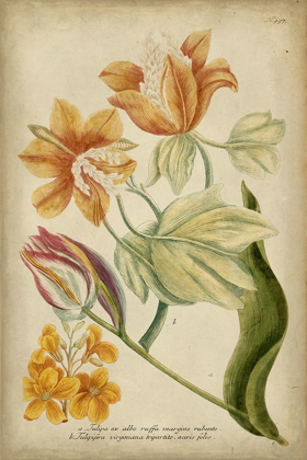 Picture of WEINMANN TROPICAL FLORAL II