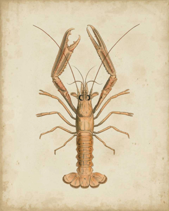 Picture of CRUSTACEANS I