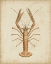 Picture of CRUSTACEANS I