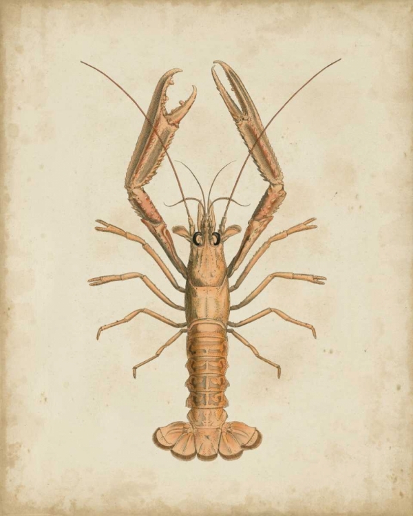Picture of CRUSTACEANS I